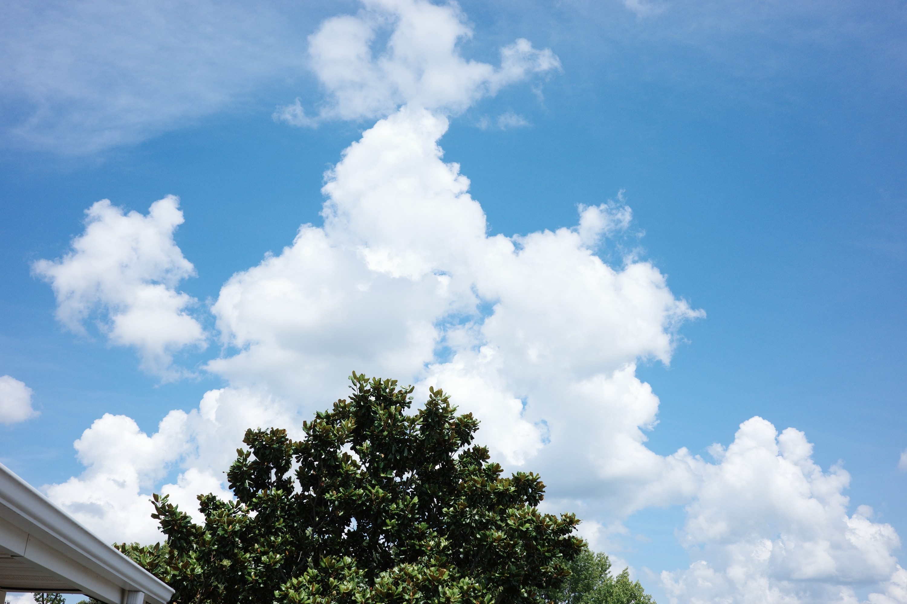 Studies of sky